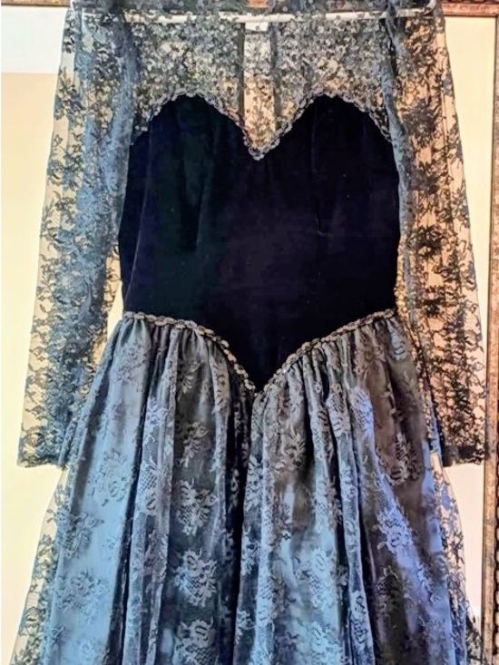Zum Zum by Niki Livas Dresses & Skirts - Vintage-Inspired Black Lace and Velvet Dress